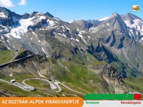 Az Osztrák-Alpok virágoskertje | SPOT 2013 - PROKO TRAVEL