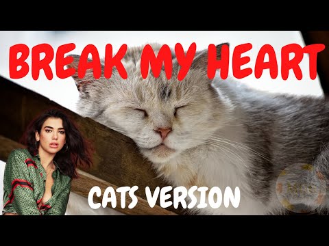 Cats Sing Break My Heart by Dua Lipa | Cats Singing Song Parody