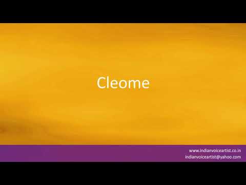 Pronunciation of the word(s) "Cleome".