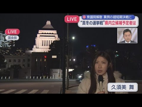 YouTube Video 【中継】国会前～久須美舞記者中継