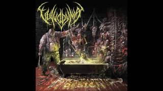 Download lagu Vulvodynia - Flesh Tailor (HQ) 2016 mp3