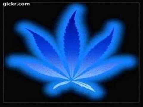 The New Monkey - MC Scotty Jay, MC Impulse - Future City - Only Love