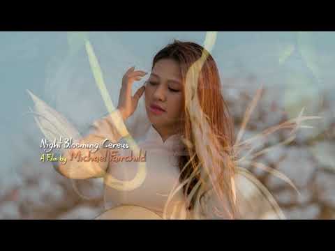 Dạ khúc (Bài nhạc quỳnh cuối cùng) - Ý Lan