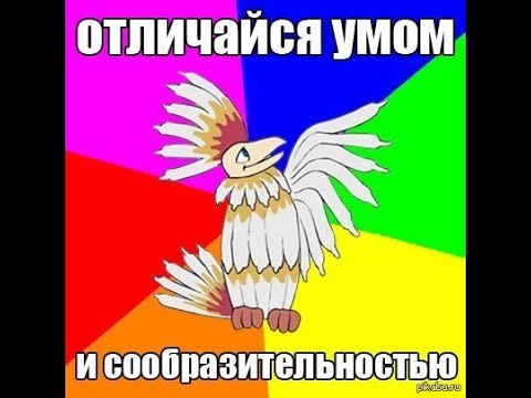 Птица говорун отличается умом и сообразительностью картинки