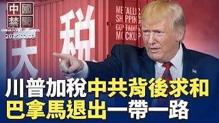 Re: [新聞] 專訪杜奕瑾：DeepSeek被炒作過頭