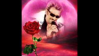 Mon film johnny hallyday au bord des routes