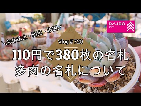 [Vlog 720] 380 name tags for 110 yen 🌸 About succulent name tags [Prevention of deterioration, cr...