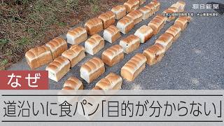 食パン39キロ不法投棄　国立公園・大山の県道に点々と「絶対にやめて」