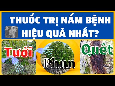 , title : 'Thuốc phòng trị nấm bệnh tốt nhất | Luân phiên hoạt chất | Chọn hoạt chất phù hợp tưới- phun- quét'