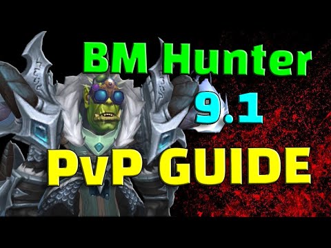 Beast Mastery Hunter PvP Guide / Shadowlands - ALL in ONE