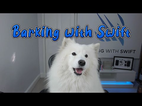 Introducing Barking with Swift thumbnail