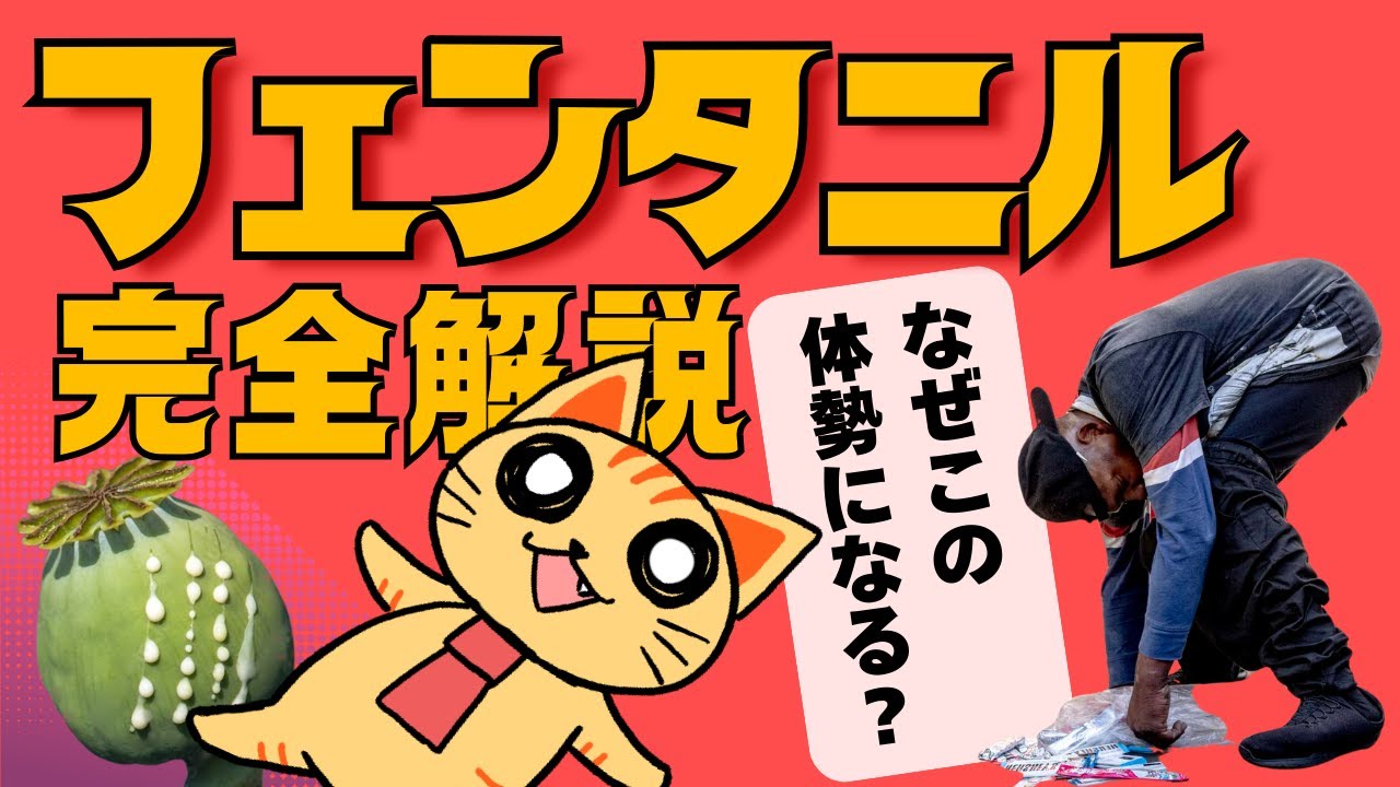 フェンタニル完全解説【なぜ効き、なぜ危険？】