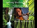 [Tibetan Music] Nawang Khechog - Music As Medicine (Full)