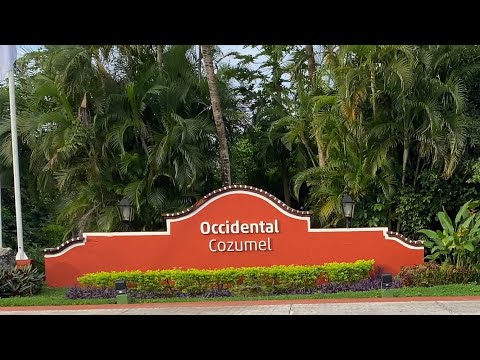 Videos del Occidental Cozumel 5★ en Cozumel, MéxicoVer MásVerPrecios18CerrarConsulta por Whatsapp 🇦🇷BookingTripadvisorExpediaAgodaTravelocityOrbitzPricelineTripSkyscannerKayakHotelesDestiniaTrivagoTurismocityAlmundoLastminuteHotwireCheaptickets