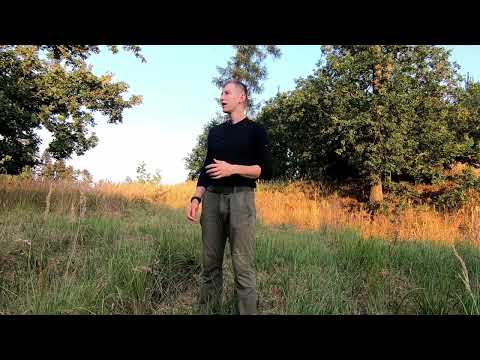 Ukázka ze série: Archeologické lokality Česka