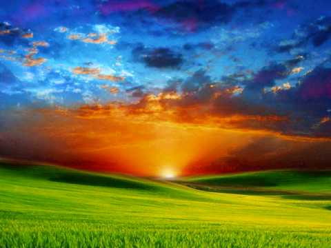 Paul Hardcastle Walkin To Freedom