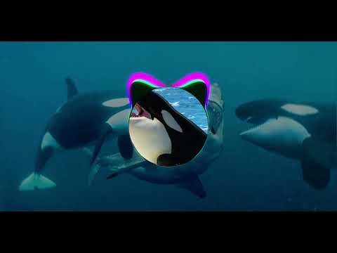 LIL Glock420 - Deadman (Orca Tik Tok Version)
