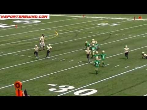 DJ Jackson - 7Yr Old NN Buford Wolves - 1st Half 2016 Season