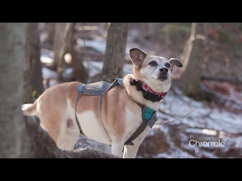 NH Chronicle: "Nina Climbs a Mountain"