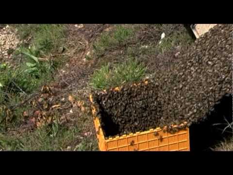 Utjämning på hösten