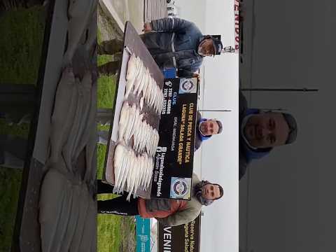 OTRA LINDA PESCA EN MADARIAGA #fishing #fish #2026 #argentina #pesca #fishingvideo #amigos #pescaria