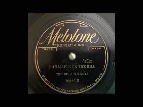 The Maple On The Hill - The Buckeye Boys