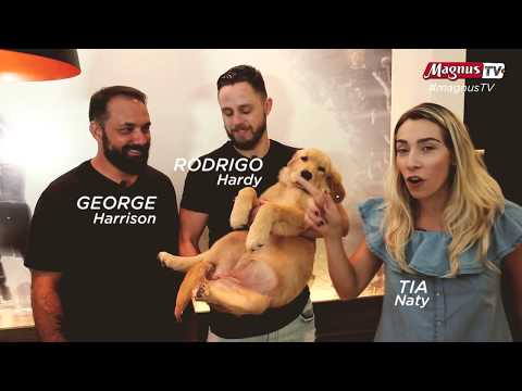 SEXTA TEM UM TRIO MAIS QUE ESPECIAL NO MAGNUS TV