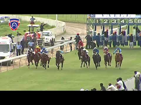 RM2 R8 - Xanthus | J.Bardottier