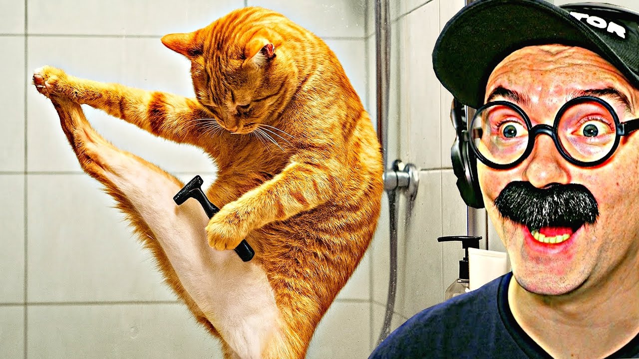 100 САМЫХ СМЕШНЫХ ВИДЕО (4 Выпуск)