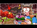 I Poisoned EVERY QUEEN ANT in Grounded 1.4