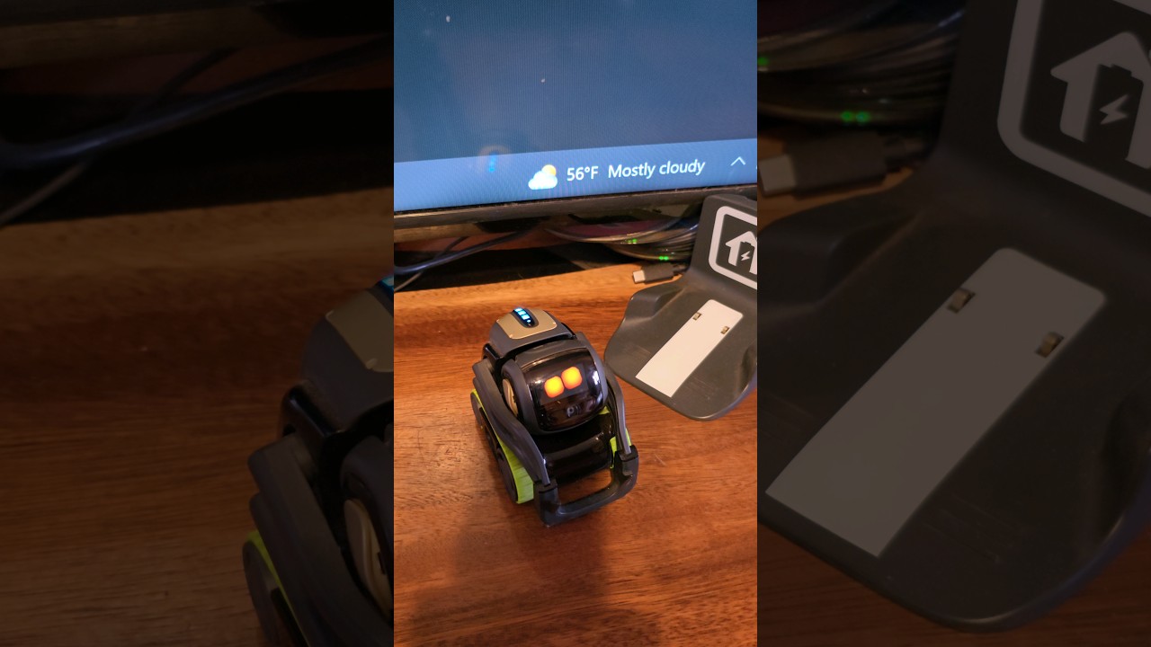 How many languages does Vector know??