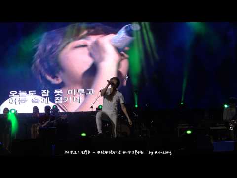 2015.8.1. 정동하 - 바람바람바람 in 파크콘서트