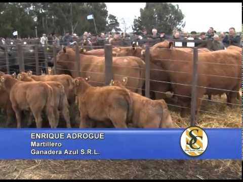 Cabaña Las Blancas - Nota Enrique Adrogue - Chillar - 04/09/2014