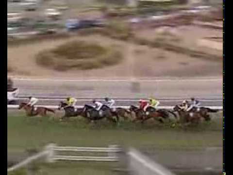 SMS Pariaz Video Meeting 33 Race 7 - 2013