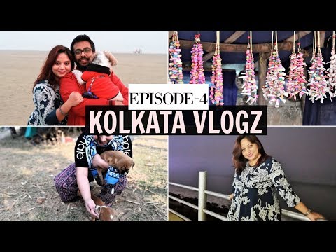 Vlog From Kolkata | Ep 4 | Enjoy Beach Vacation With Dog | Travelling Back To Kolkata Video