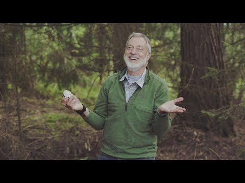 Trailer - Entdecke Hessen neu! | #HessenÜberrascht