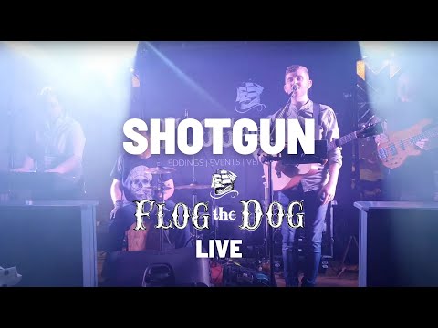 Shotgun (feat. baby Shark - Flog The Dog Wedding Band LIVE