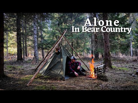 SOLO WILD CAMPING IN BEAR COUNTRY - Polish Army Lavvu Tent, Fire Reflector, Fish on Fire