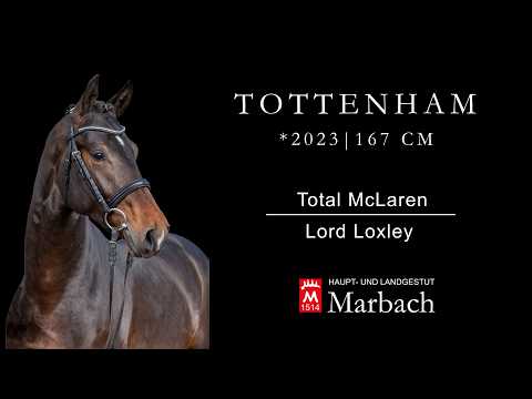Tottenham *2023 v. Total McLaren - Lord Loxeley