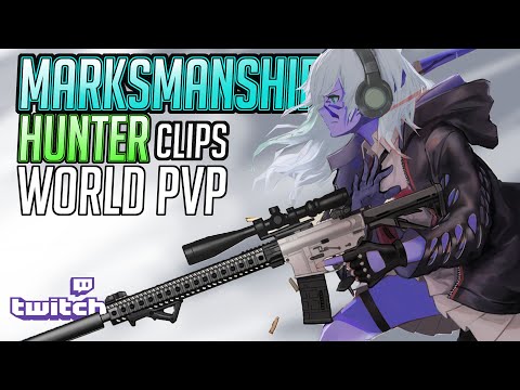 200% Damage SNIPER  |  Marksmanship Hunter  | 8.3 World PVP
