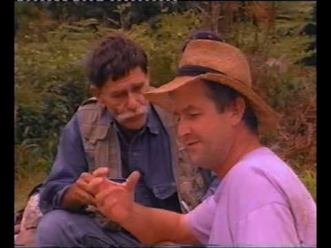 Desperately Seeking Something - part 22