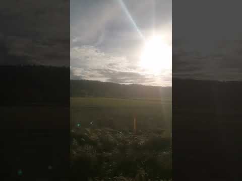 kurze mitfahren im vt 650 nach döbeln Hbf