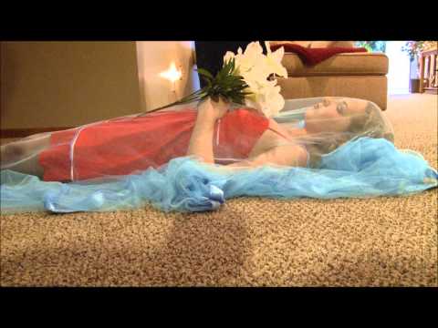 "Romeo and Juliet" English Project 2012