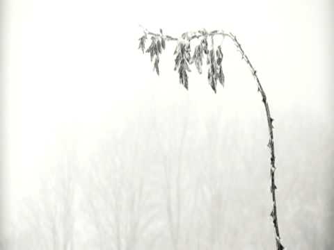 Glockenspiel - Away Feat. Blackfeel Wite (original mix)