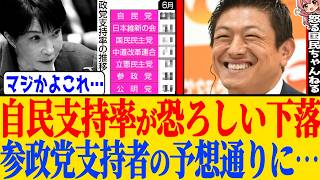 ※参政党のさやさんの心に響く演説映像や自民党の支持率に関して意見をまとめたので動画にします