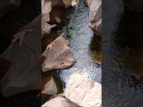 Mina Clavero, Traslasierras, Córdoba, Argentina #minaclavero