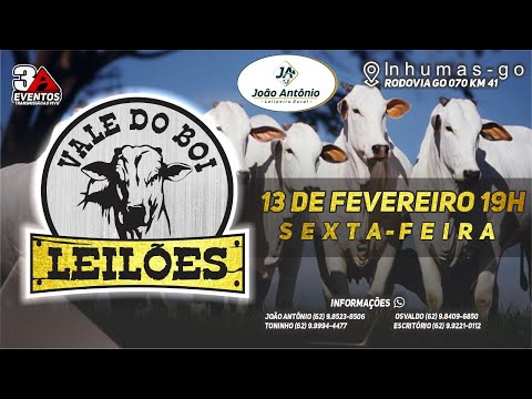 VALE DO BOI LEILOES - INHUMAS GO  - LEILAO VIRTUAL E PRESENCIAL -  13 DE  FEVEREIRO 2026