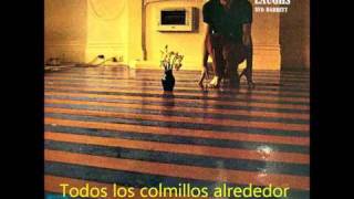 Syd Barrett-Terrapin Subtitulada Español