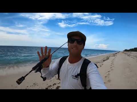 2 ## FOOD CHAIN FISHING CHALLENGE   tiny shrimp into HUGE SHARK