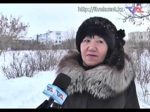 Выпуск программы «День» от 22 декабря 2015г.